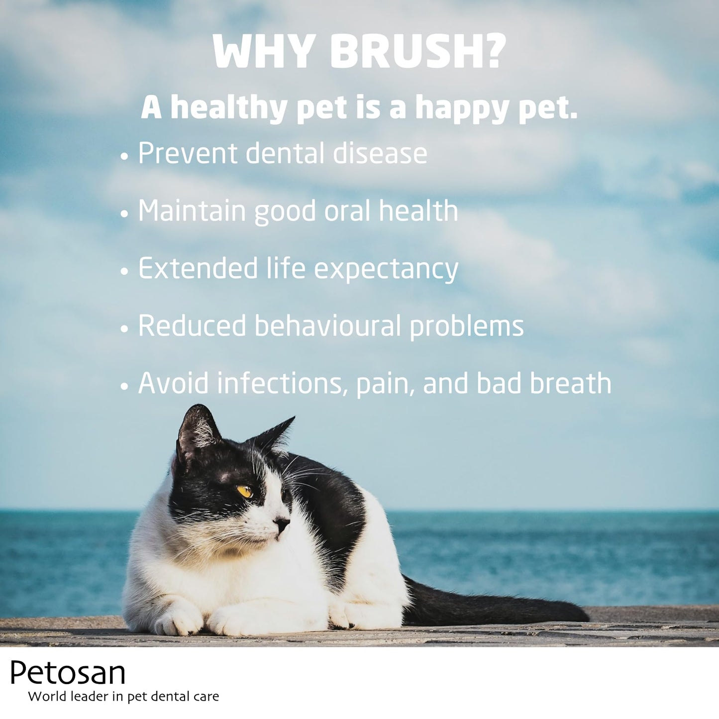 Petosan Toothpaste for Cats 2-pack