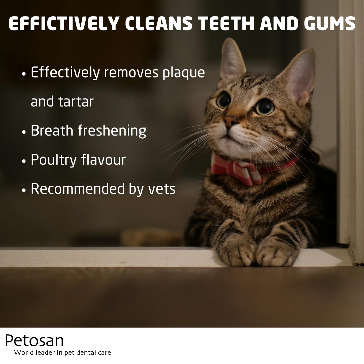 Petosan Toothpaste for Cats 2-pack