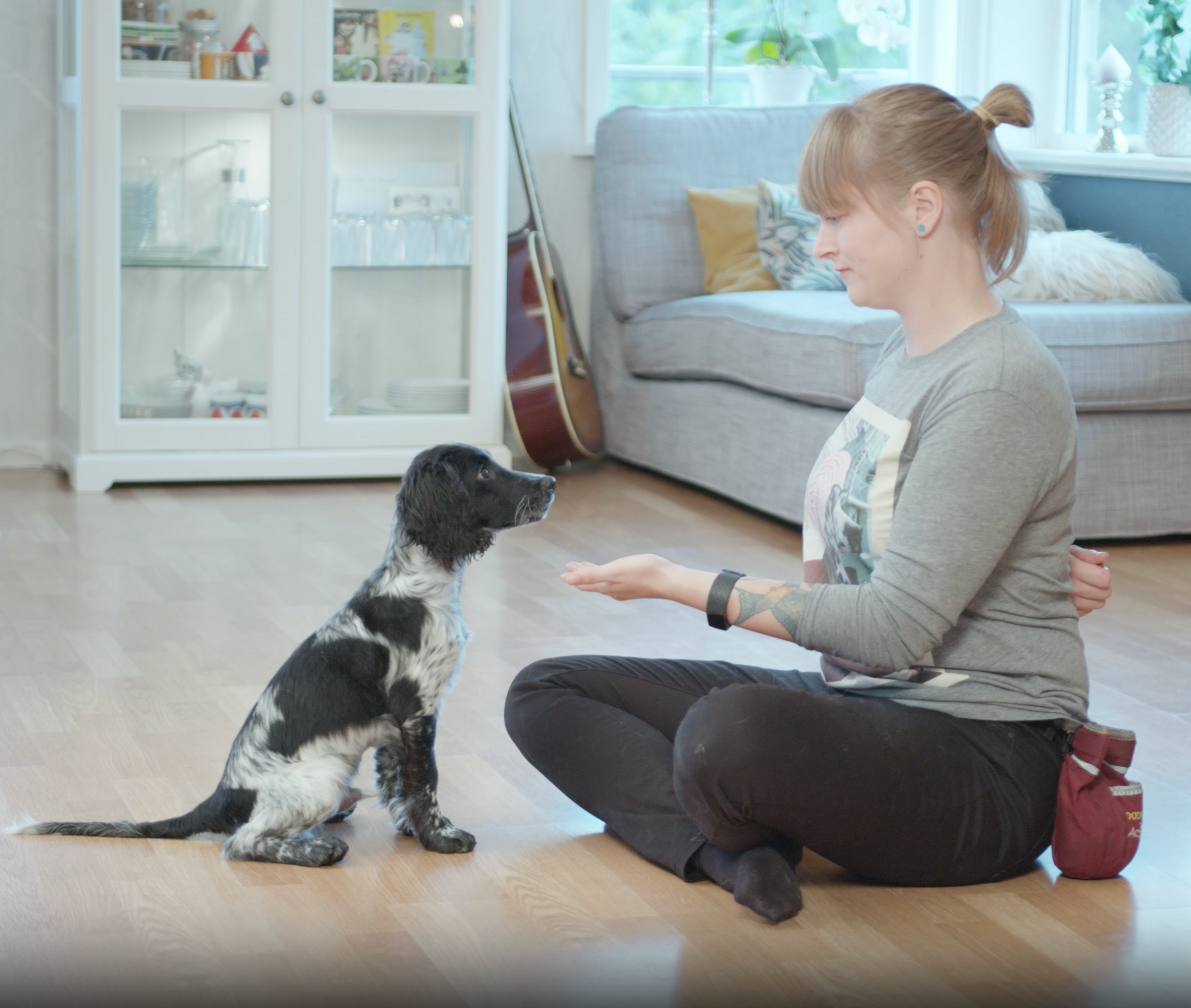 Petosan Dental University