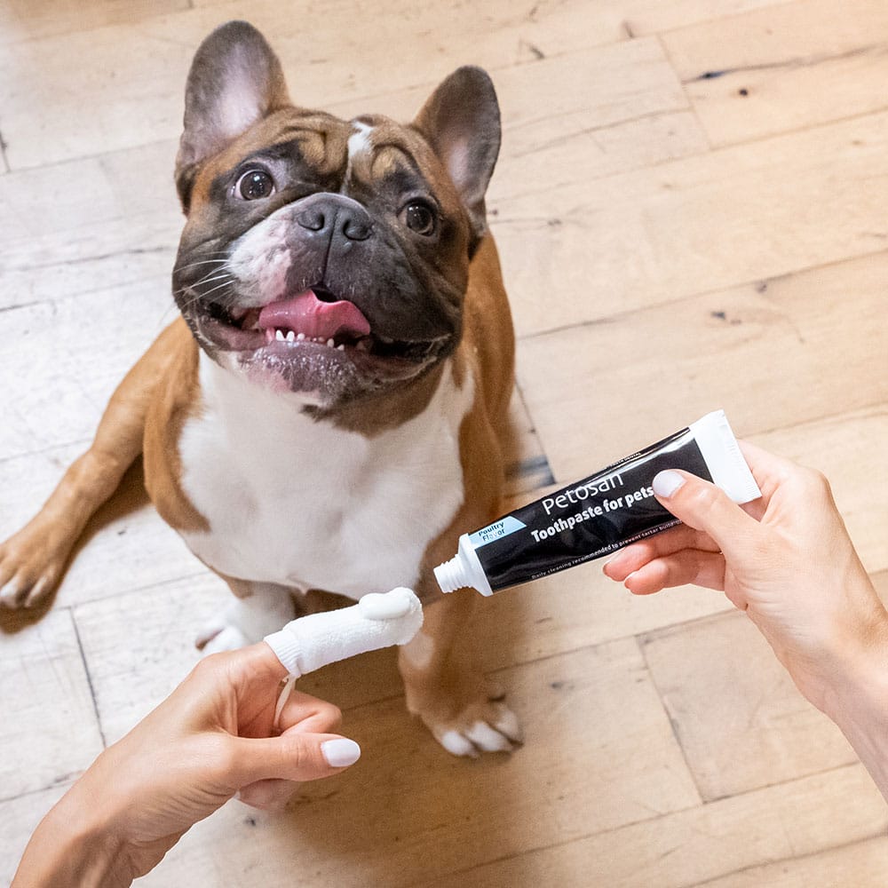 Petosan® Anti-Tartar Toothpaste with Poultry Flavor