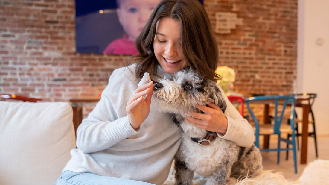 Brushing your dog’s teeth can be bonding time for both of you