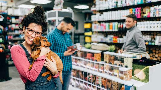Best dental care products in the pet store