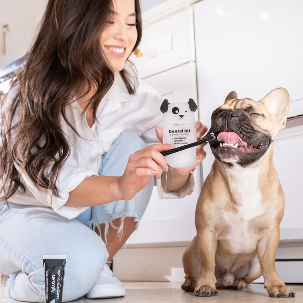 Puppy dental kit best sale